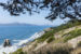 Golden Gate